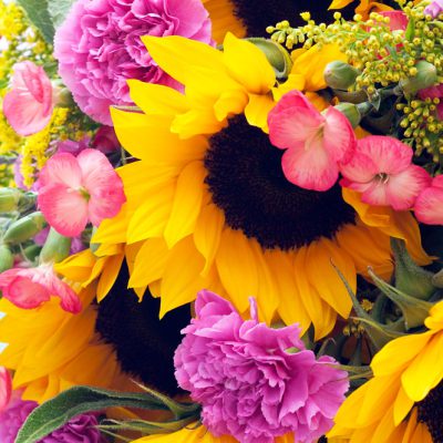 impress-schnittblumen3