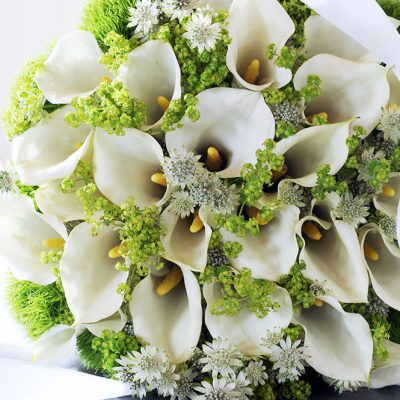 impress-schnittblumen8