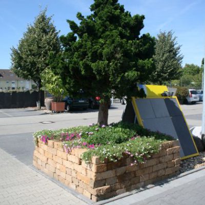 koniferen_5